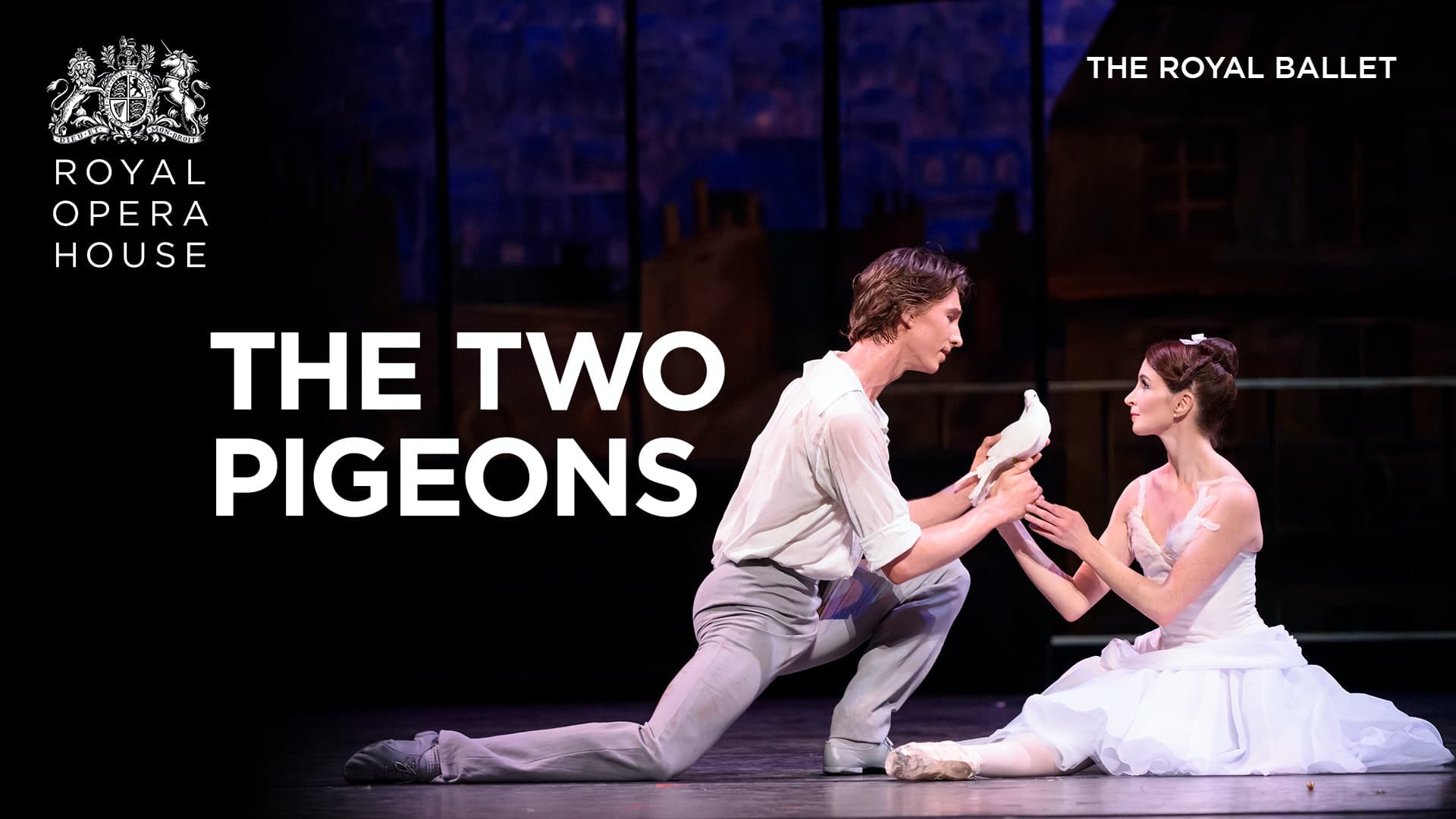 Two Pigeons