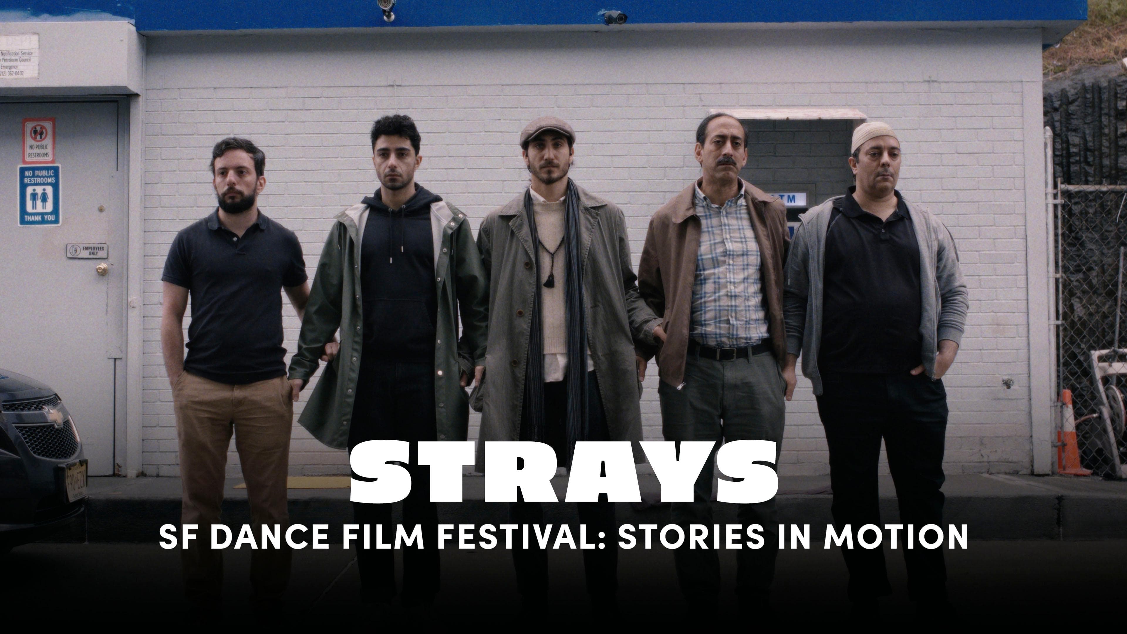 Strays