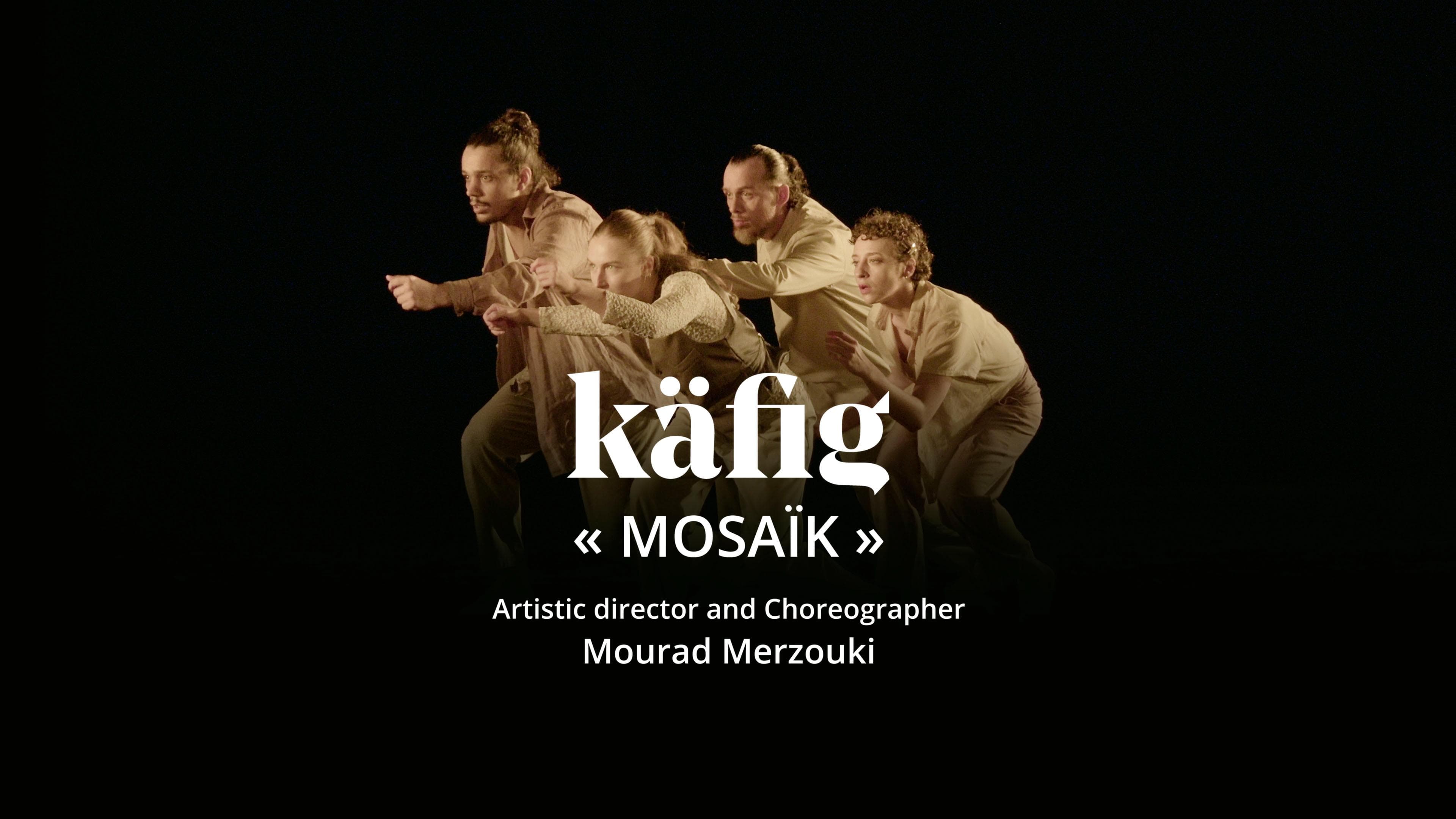 Käfig: Mosaïk