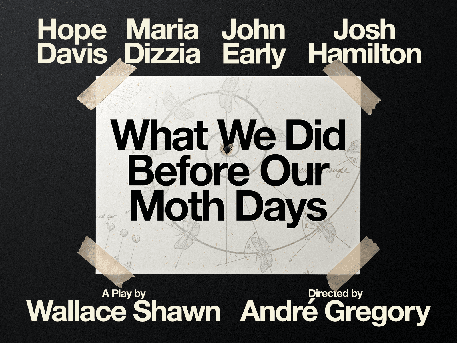 What We Did Before Our Moth Days